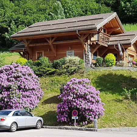 Les Chalets Des Chatelmines La Bresse Zewnętrze zdjęcie