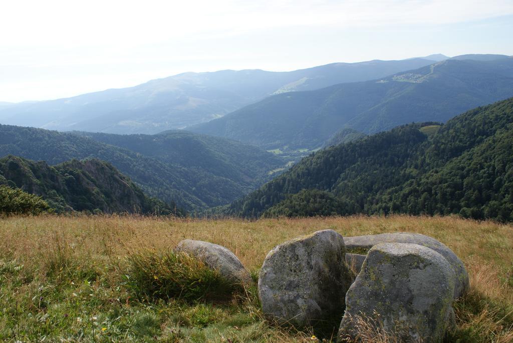 Les Chalets Des Chatelmines La Bresse Zewnętrze zdjęcie
