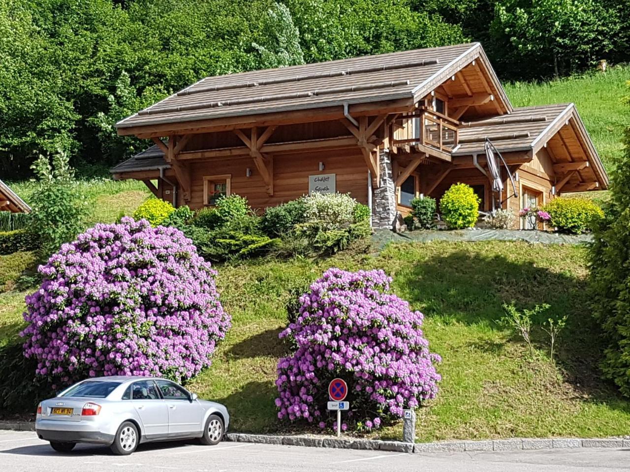Les Chalets Des Chatelmines La Bresse Zewnętrze zdjęcie